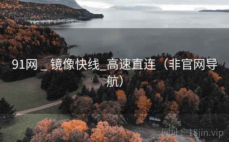 91网 _ 镜像快线_高速直连（非官网导航）