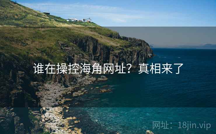 谁在操控海角网址？真相来了