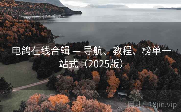 电鸽在线合辑 — 导航、教程、榜单一站式（2025版）