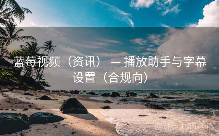 蓝莓视频（资讯） — 播放助手与字幕设置（合规向）