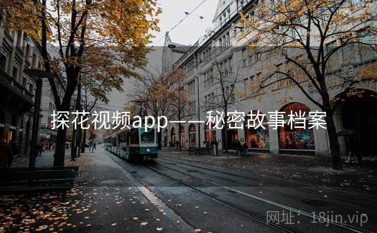 探花视频app——秘密故事档案 探花视频app——秘密故事档案