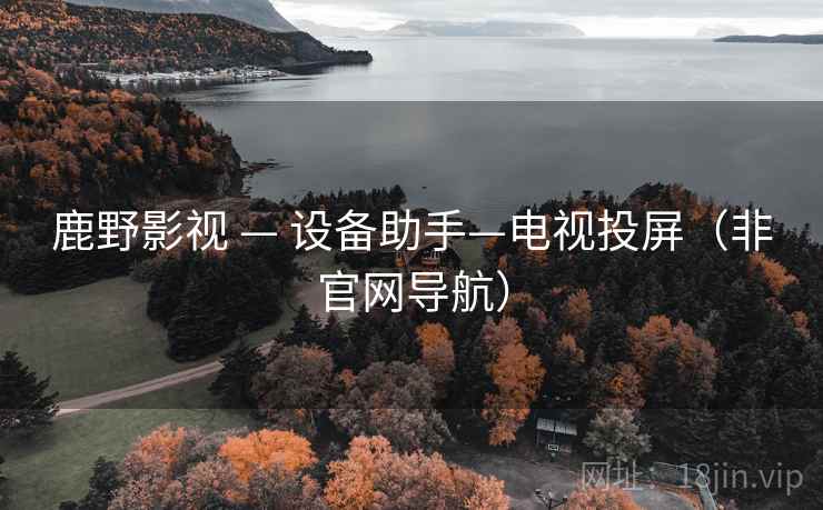 鹿野影视 — 设备助手—电视投屏（非官网导航）