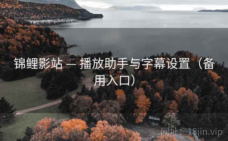锦鲤影站 — 播放助手与字幕设置（备用入口）